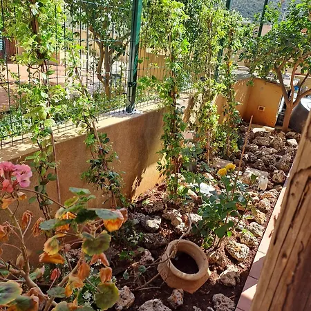 Casa de Férias La Casa Dei Pesci Dipinti Castelluzzo